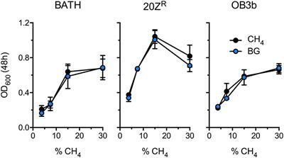 Biogas Biocatalysis: Methanotrophic Bacterial Cultivation, Metabolite Profiling, and Bioconversion to Lactic Acid